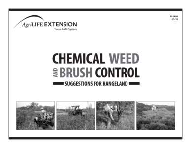 B Chemical Weed and Brush Control Suggestions for Rangeland Allan McGinty, Jim Ansley, Wayne Hamilton,