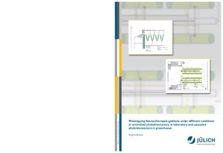 Phenotyping Nannochloropsis gaditana under different conditions Regina Braun 221