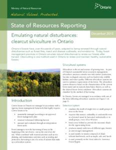 Ministry of Natural Resources  State of Resources Reporting Emulating natural disturbances: clearcut silviculture in Ontario