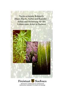 Nachwachsende Rohstoffe (Hanf, Flachs, Salbei und Kamille) – Anbau und Bedeutung für den Lebensraum Acker in Sachsen  Sächsische Landesanstalt für Landwirtschaft