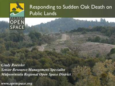 Responding to Sudden Oak Death on Public Lands Cindy Roessler Senior Resource Management Specialist Midpeninsula Regional Open Space District