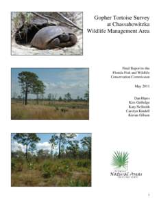 Chassahowitzka Wildlife Management Area / Flatwoods / Burrow / Eastern United States / Geography of the United States / Gopherus / Gopher tortoise / Sandhill