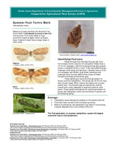 Rhode Island Department of Environmental Management/Division of Agriculture  Cooperative Agricultural Pest Survey (CAPS) Summer Fruit Tortrix Moth Adoxophyes orana