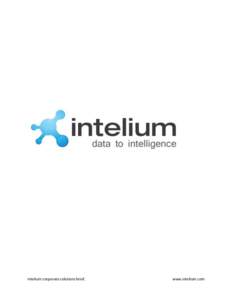 Intelium corporate solutions brief.  www.intelium.com Introduction About