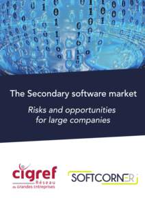 PROMOTING DIGITAL CULTURE AS A SOURCE OF INNOVATION AND OF PERFORMANCE The Secondary Software Market
