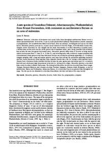 RAFFLES BULLETIN OF ZOOLOGY 2014 Taxonomy & Systematics RAFFLES BULLETIN OF ZOOLOGY 62: 175–187 Date of publication: 4 April 2014 http://zoobank.org/urn:lsid:zoobank.org:pub:51117AFB-1F21-4735-A4DE-01AC0B7509C5