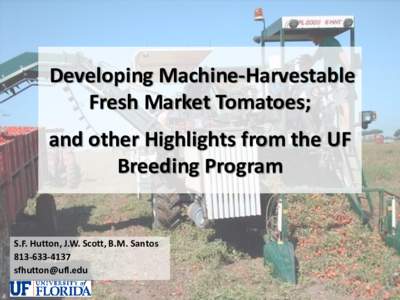 Developing Machine-Harvestable Fresh Market Tomatoes; and other Highlights from the UF Breeding Program
