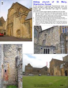 Abbey church of Sherborne, Dorset. St  Mary,