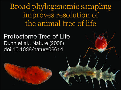 Broad phylogenomic sampling improves resolution of the animal tree of life