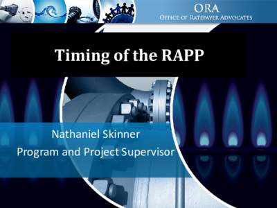 Timing of the RAPP  Nathaniel Skinner Program and Project Supervisor  Long Term Procurement Plan Process