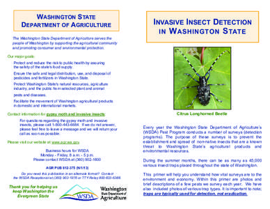 WASHINGTON STATE DEPARTMENT OF AGRICULTURE INVASIVE INSECT DETECTION IN W ASHINGTON S TATE