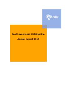 Enel Investment Holding B.V. Annual report 2013 Content Director’s Report