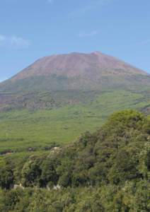 Palearctic / Environmental organizations / Non-governmental organizations / Vesuvius National Park / Deforestation / Genista aetnensis / Mediterranean Basin / San Sebastiano al Vesuvio / Forest / Volcanology / Campania / Environment