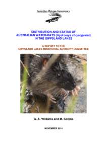 DISTRIBUTION AND STATUS OF AUSTRALIAN WATER-RATS (Hydromys chrysogaster) IN THE GIPPSLAND LAKES A REPORT TO THE GIPPSLAND LAKES MINISTERIAL ADVISORY COMMITTEE