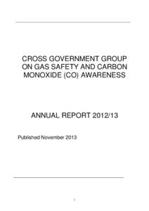 [removed]ANNUAL REPORT – CROSS GOVERNMENT GROUP ON GAS SAFETY AND CARBON MONOXIDE (CO) AWARENESS