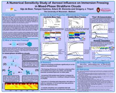 A Numerical Sensitivity Study of Aerosol Influence on Immersion Freezing in Mixed-Phase Stratiform Clouds Gijs de Boer, Tempei Hashino, Edwin W. Eloranta and Gregory J. Tripoli The University of Wisconsin - Madison  Radi