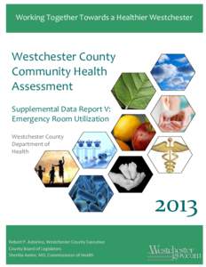 Working Together Towards a Healthier Westchester  Westchester County Community Health Assessment Supplemental Data Report V: