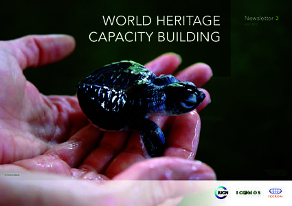 WORLD HERITAGE CAPACITY BUILDING © Corentin Basset  Newsletter 3