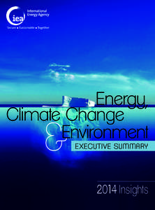 Energy, Climate Change and Environment: 2014 Insights - Executive summary