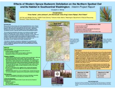 Effects of Western Spruce Budworm Defoliation on the Northern Spotted Owl and Its Habitat in Southcentral Washington:  Interim Project Report