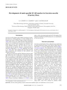 c Indian Academy of Sciences  RESEARCH NOTE  Development of male-specific SCAR marker in Garcinia morella