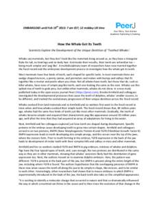 EMBARGOED until Feb 19th 2013: 7 am EST; 12 midday UK time Your Peers, Your Science Academic Publishing is Evolving How the Whale Got Its Teeth Scientists Explore the Development of the Unique Dentition of ‘Toothed Wha