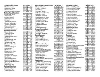 New World warblers / Golden-winged Warbler / Blue-winged Warbler / Yellow Warbler / Pine Warbler / Northern Waterthrush / Hooded Warbler / Canada Warbler / Passerida / Vermivora / Dendroica