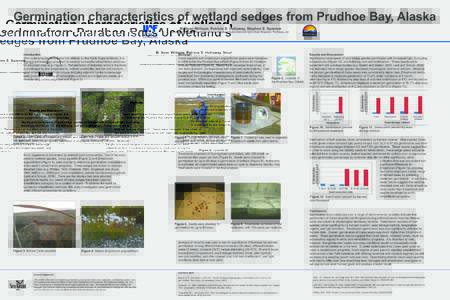 Germination characteristics of wetland sedges from Prudhoe Bay, Alaska M. Sean Willison, Patricia S. Holloway, Stephen S. Sparrow University of Alaska Fairbanks, School of Natural Resources and Agricultural Sciences, Fai