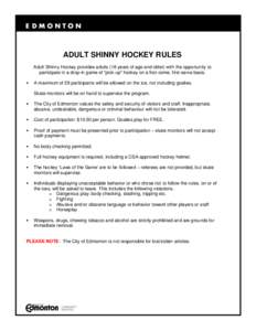 Adult Shinny Hockey Guidelines