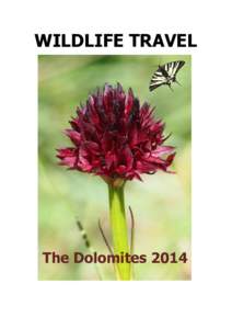 WILDLIFE TRAVEL  The Dolomites 2014 The Dolomites, 19th to 26th June 2014 : trip report 19th June. Arrival. Arrival at Marco Polo airport in Venice and transfer to our destination to Campitello di