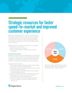 DIGITAL RIVER PARTNER NETWORK  Strategic resources for faster speed-to-market and improved customer experience Digital River’s Partner Network is a collection of trusted experts