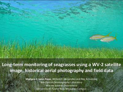 Long-term monitoring of seagrasses using a WV-2 satellite image, historical aerial photography and field data Mariana C. León-Pérez, William J. Hernández and Roy Armstrong Bio-Optical Oceanography Laboratory Marine Sc