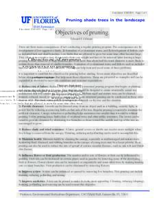 Fact sheet ENH 845 Page 1 of 1  Pruning shade trees in the landscape Objectives of pruning Edward F. Gilman1