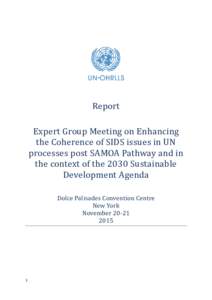 Report Expert Group Meeting on Enhancing the Coherence of SIDS issues in UN processes post SAMOA Pathway and in the context of the 2030 Sustainable Development Agenda