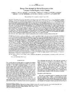 Energy Flow through the Marine Ecosystem of the Lancaster Sound Region, Arctic Canada