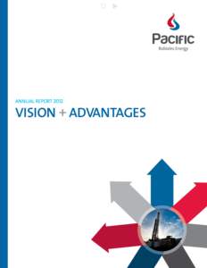 R u  ANNUAL REPORT 2012 VISION + ADVANTAGES