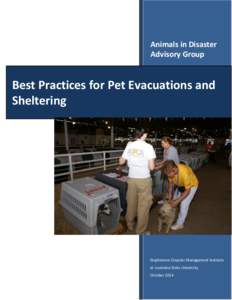 Best Practices for Pet Evacuations and Sheltering