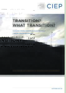 TRANSITION? WHAT TRANSITION? CHANGING ENERGY SYSTEMS IN AN INCREASINGLY CARBON CONSTRAINED WORLD  STUDY FOR THE DUTCH MINISTRY OF INFRASTRUCTURE & ENVIRONMENT