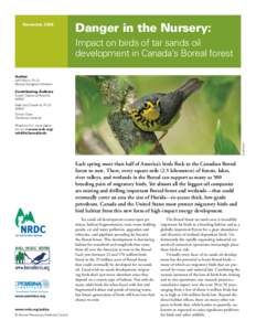 December[removed]Danger in the Nursery: Impact on birds of tar sands oil development in Canada’s Boreal forest