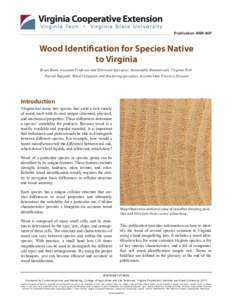 Publication ANR-64P  Wood Identification for Species Native to Virginia Brian Bond, Assistant Professor and Extension Specialist, Sustainable Biomaterials, Virginia Tech Patrick Rappold, Wood Utilization and Marketing Sp