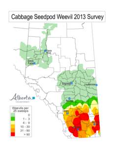 Cabbage Seedpod Weevil 2013 Survey  Peace River Grande Prairie