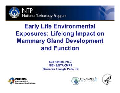 Early Life Environmental Exposures: Lifelong Impact on Mammary Gland Development and Function Sue Fenton, Ph.D. NIEHS/NTP/CMPB