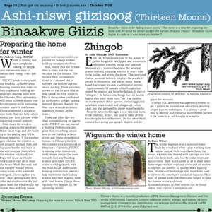 Page 10 | Nah gah chi wa nong • Di bah ji mowin nan | October[removed]Ashi-niswi giizisoog (Thirteen Moons) Binaakwe Giizis  Binaakwe Giizis is the falling leaves moon. This moon is a time for preparing the