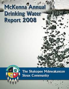 MckennaWater Report 2008.indd