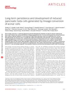 Fig. 1. Long term persistance of induced beta cells 2014