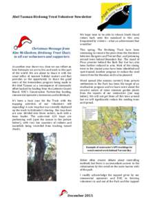 Abel Tasman Birdsong Trust Volunteer Newsletter  We hope soon to be able to release South Island robins back onto the mainland in this area frequented by visitors – what an achievement that would be!
