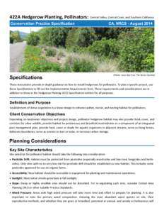 422A Hedgerow Planting, Pollinators:  Central Valley, Central Coast, and Southern California Conservation Practice Specification