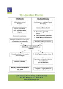 The Adoption Process Birth Parents The Hopeful Family  Unintended or Difficult