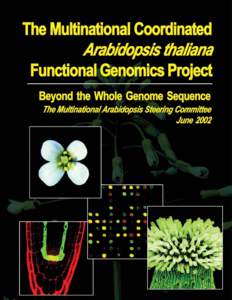 Biology / Genetics / Genomics / Arabidopsis thaliana / Flora of Lebanon / Molecular biology / Arabidopsis / Whole genome sequencing / Genome / Botany / Model organism / The Arabidopsis Information Resource