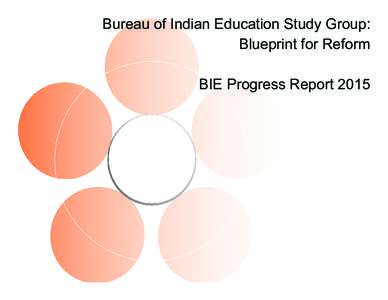 Bureau of Indian Education Study Group: Blueprint for Reform BIE Progress Report 2015 Purpose The U.S. Department of the Interior (DOI) is pleased participate in this opportunity to support a gathering of American India